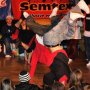 IMG_4656.jpg